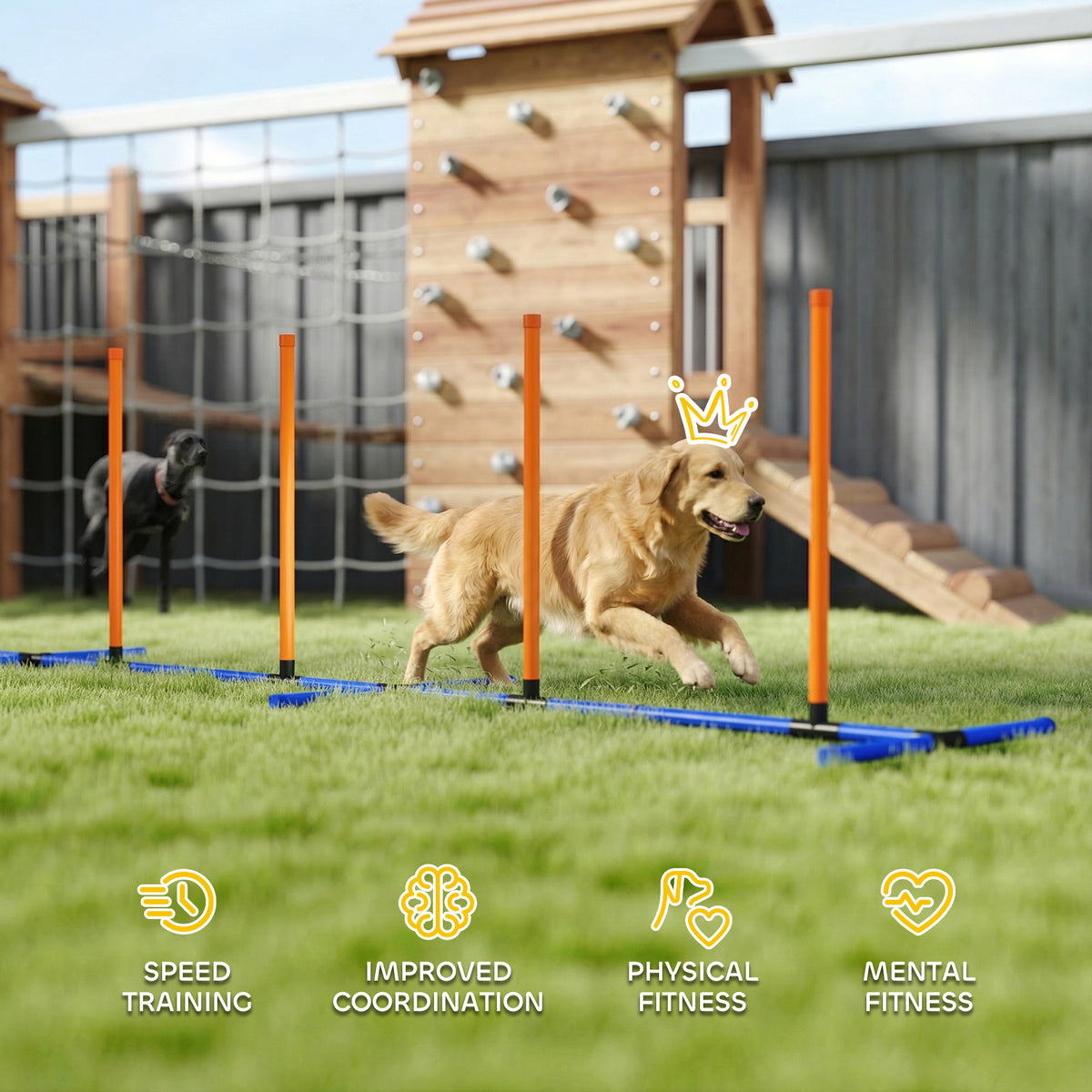 Dog weaving through adjustable agility poles