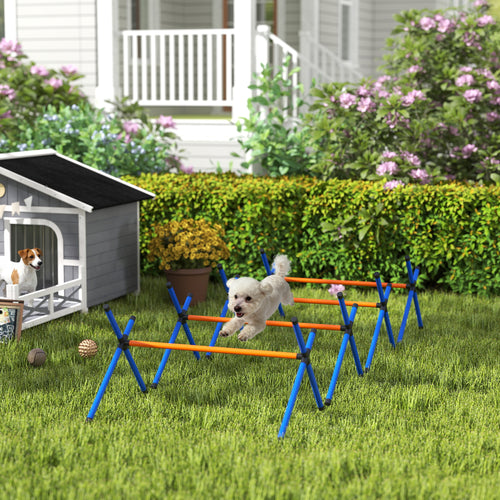 Dog agility jump set in a backyard