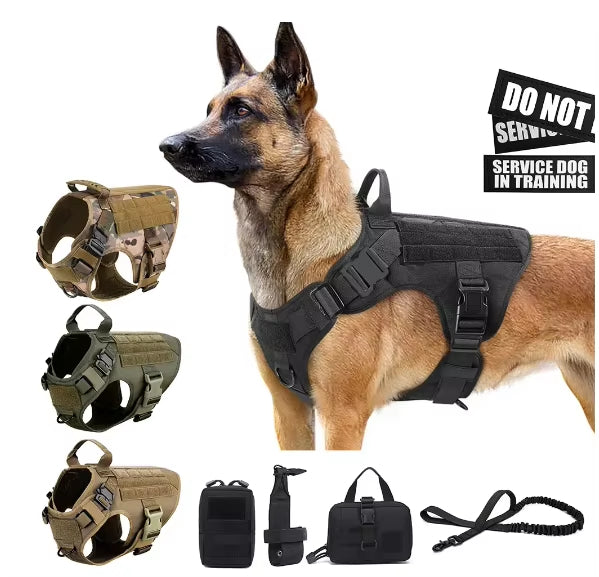 Belgian Malinois wearing black tactical no-pull dog harness with MOLLE pouches and leash; camouflage, green and brown harness color options