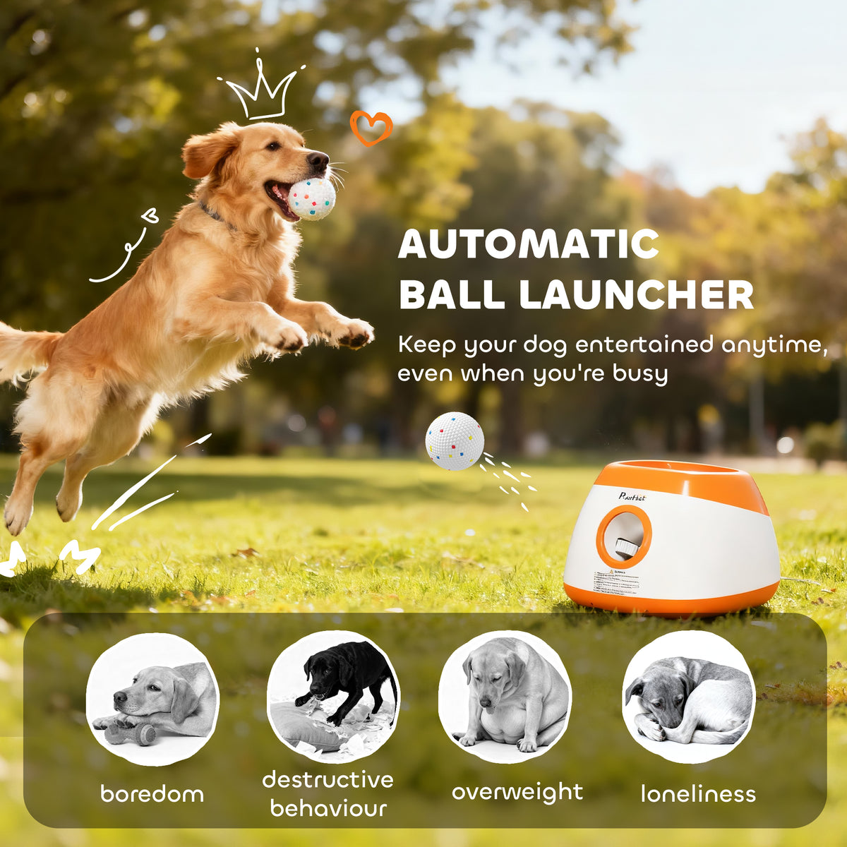 Golden retriever jumping to catch a ball near the orange and white automatic ball launcher, with boredom, destructive behaviour, overweight and loneliness icons