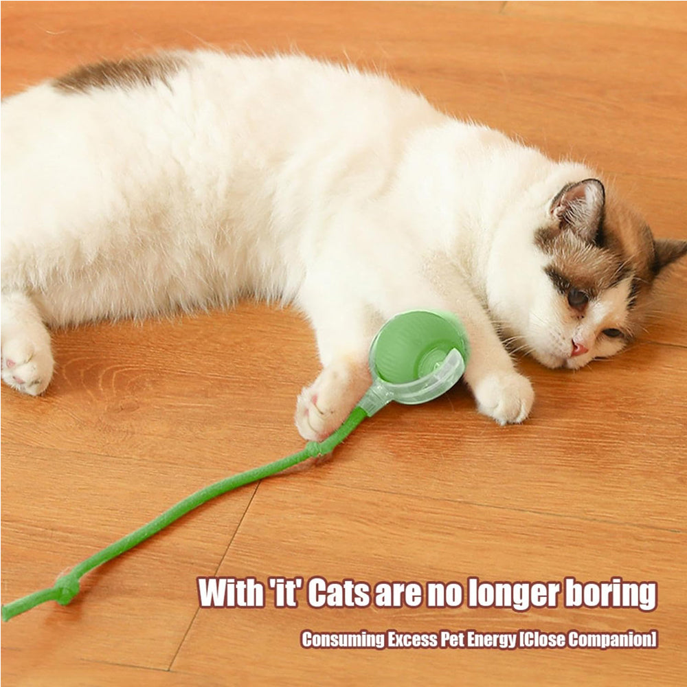 White cat playing with a green electric rolling ball toy