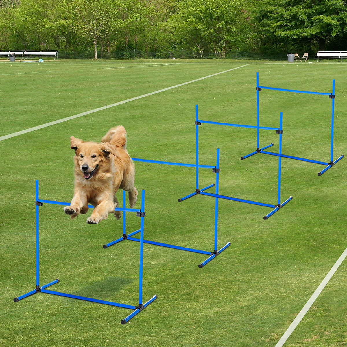 Dog jumping through blue agility jump bars on grass