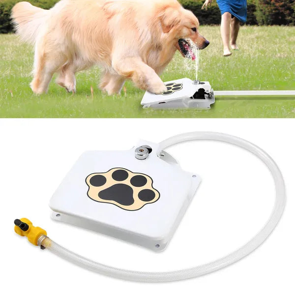Golden retriever stepping on a white step-on dog water fountain pedal in a grassy yard, with product view of the pedal fountain and hose