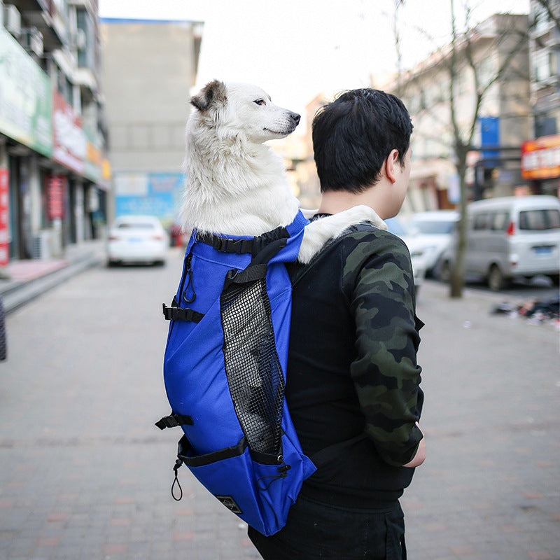 blue dog carrier backpack for small dogs worn on back