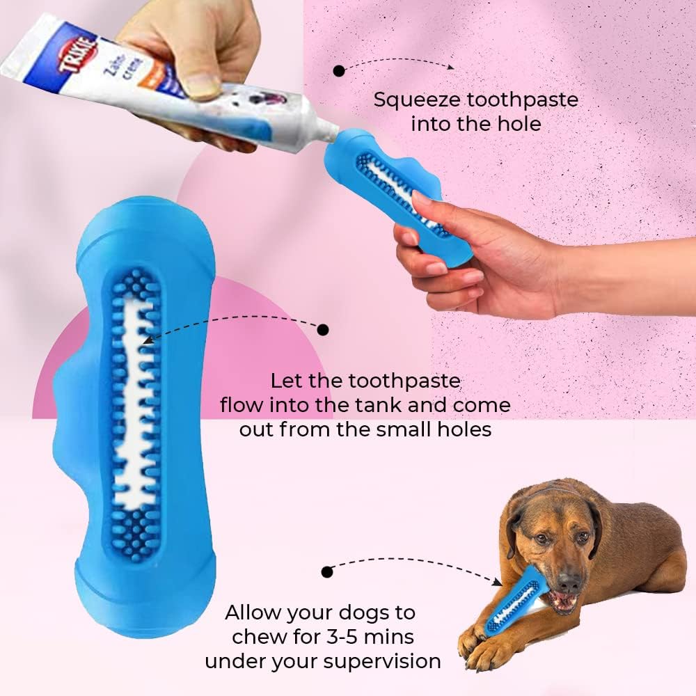 Hand holding blue monster chew toy with dog