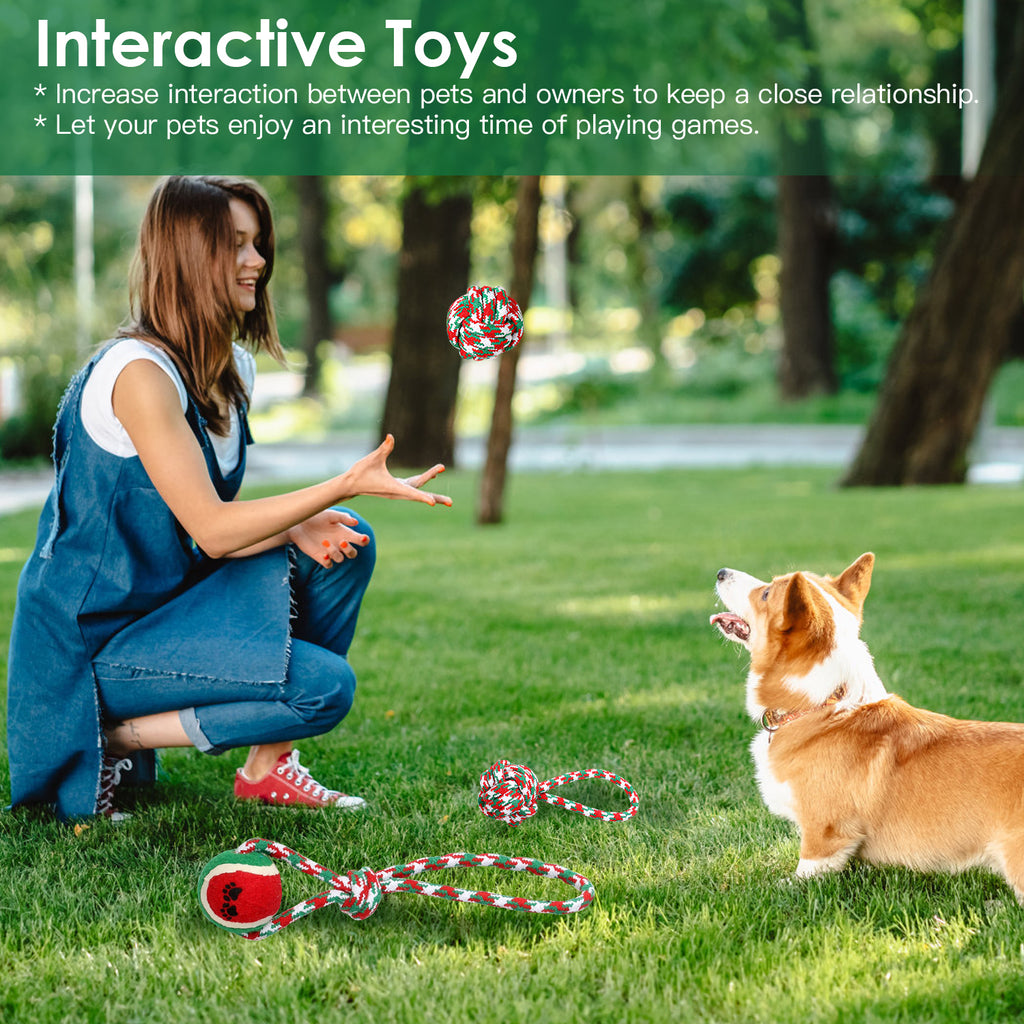 Interactive toys graphic showing a woman throwing a red and green rope ball for a corgi on grass, with rope toys nearby, captioned increase interaction between pets and owners.