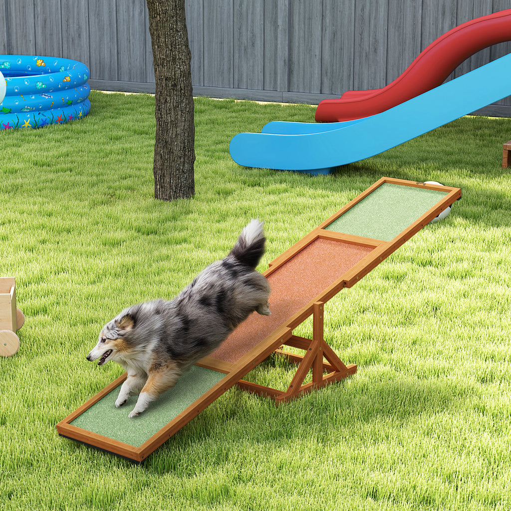 Dog on an orange wooden agility seesaw outdoors