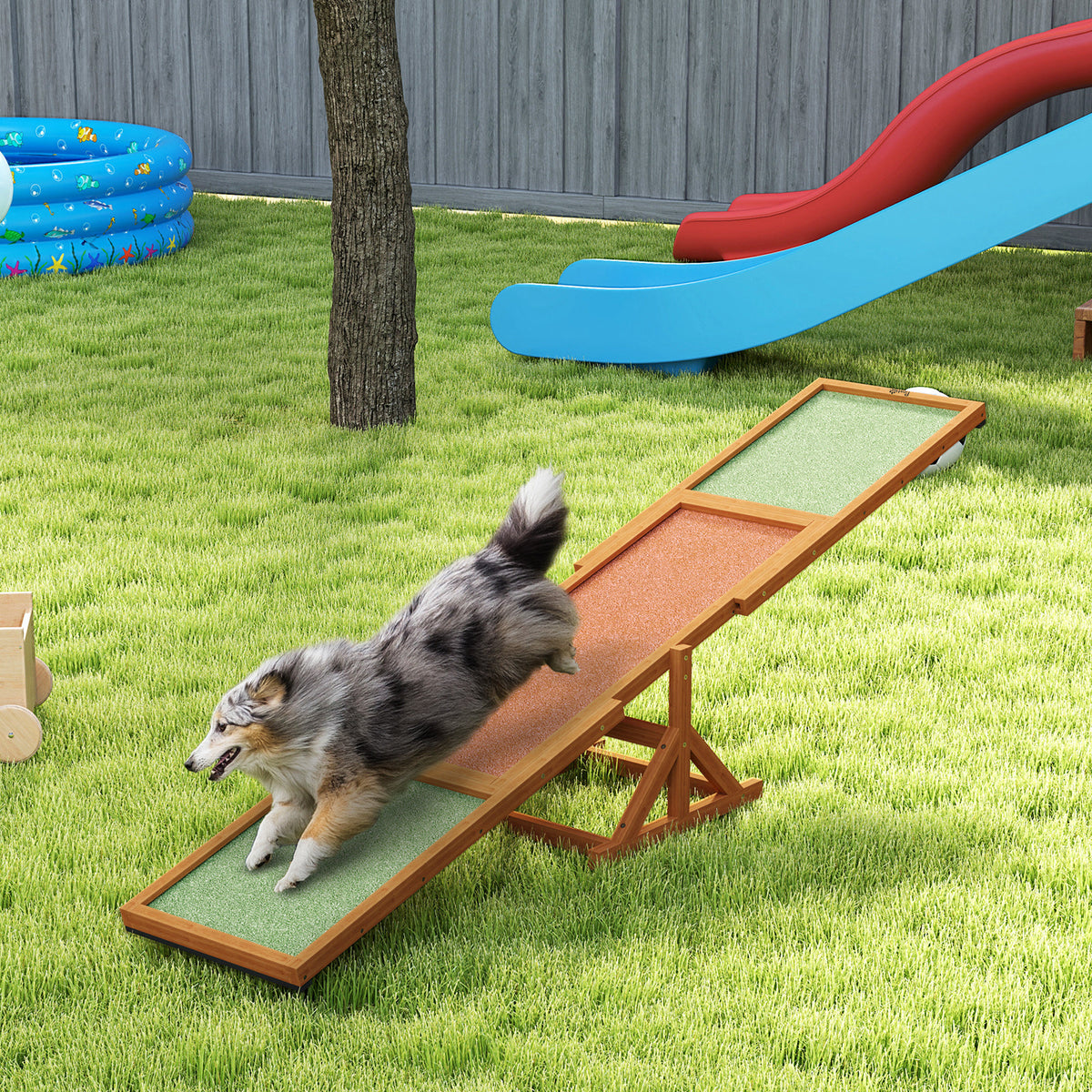 Dog on an orange wooden agility seesaw outdoors