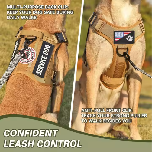 Dog wearing tan tactical no-pull harness vest showing multi-purpose back clip and anti-pull front clip for confident leash control