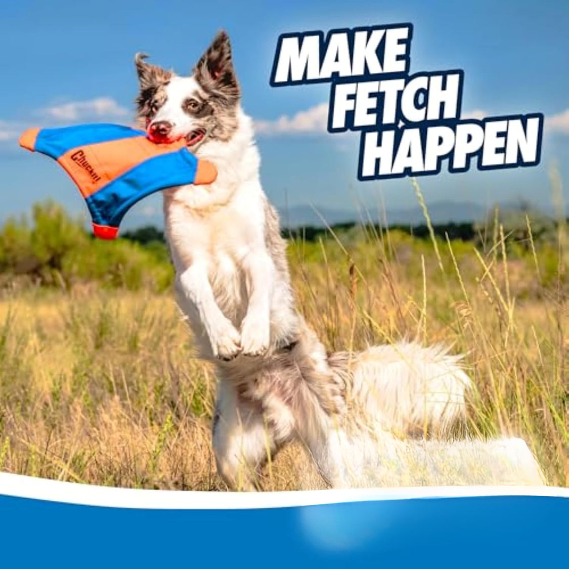 Dog catching a flying squirrel toy, make fetch happen infographic