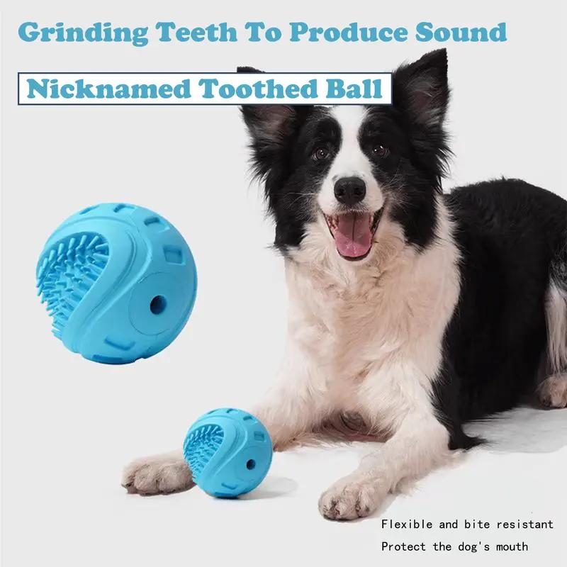 Border collie with blue toothed treat balls – grinding teeth to produce sound, flexible and bite resistant