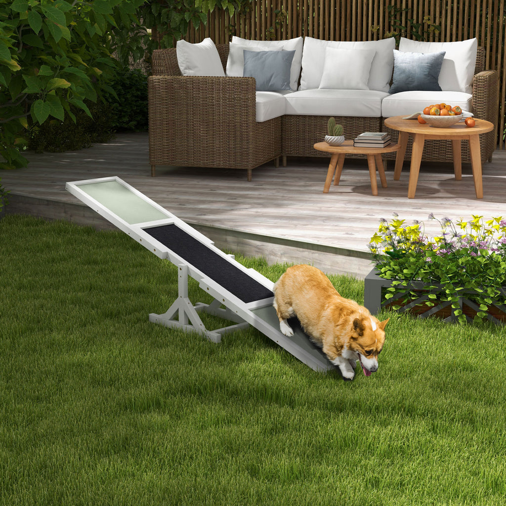 Dog on a white wooden agility seesaw in a backyard