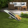 Dog on a white wooden agility seesaw in a backyard