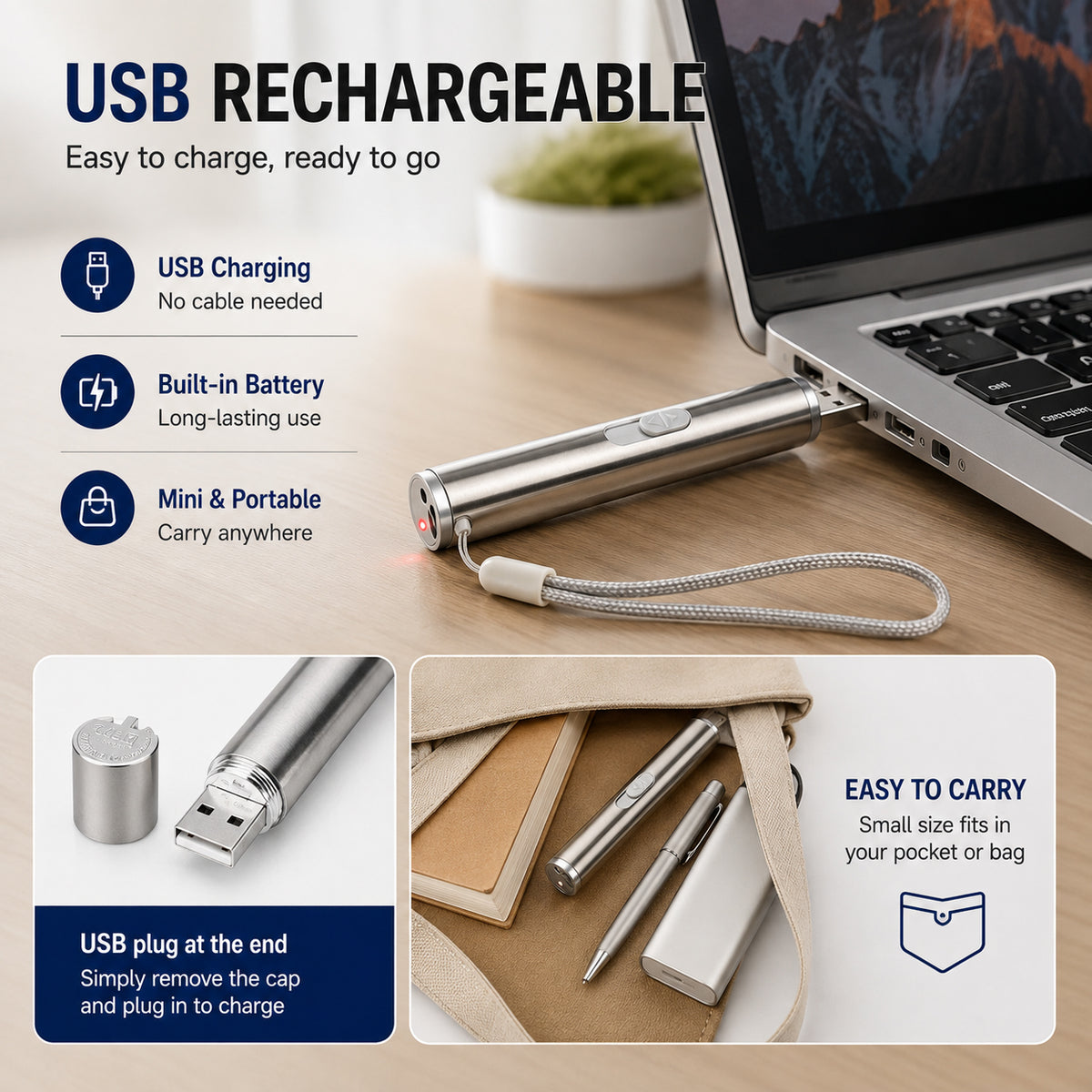 USB rechargeable pet laser pointer infographic