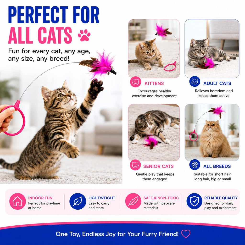 Perfect for all cats graphic showing cats of all ages and breeds playing with the pink feather collar teaser, captioned perfect for all cats.