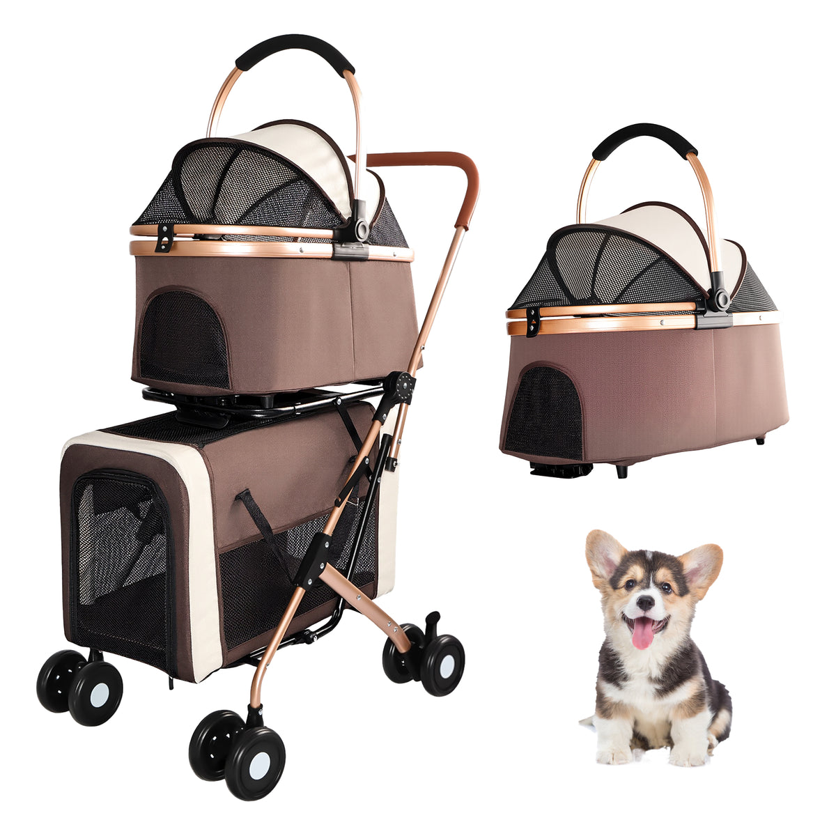 Double pet stroller with detachable two-tier basket, mesh windows and rose gold frame, with a corgi puppy