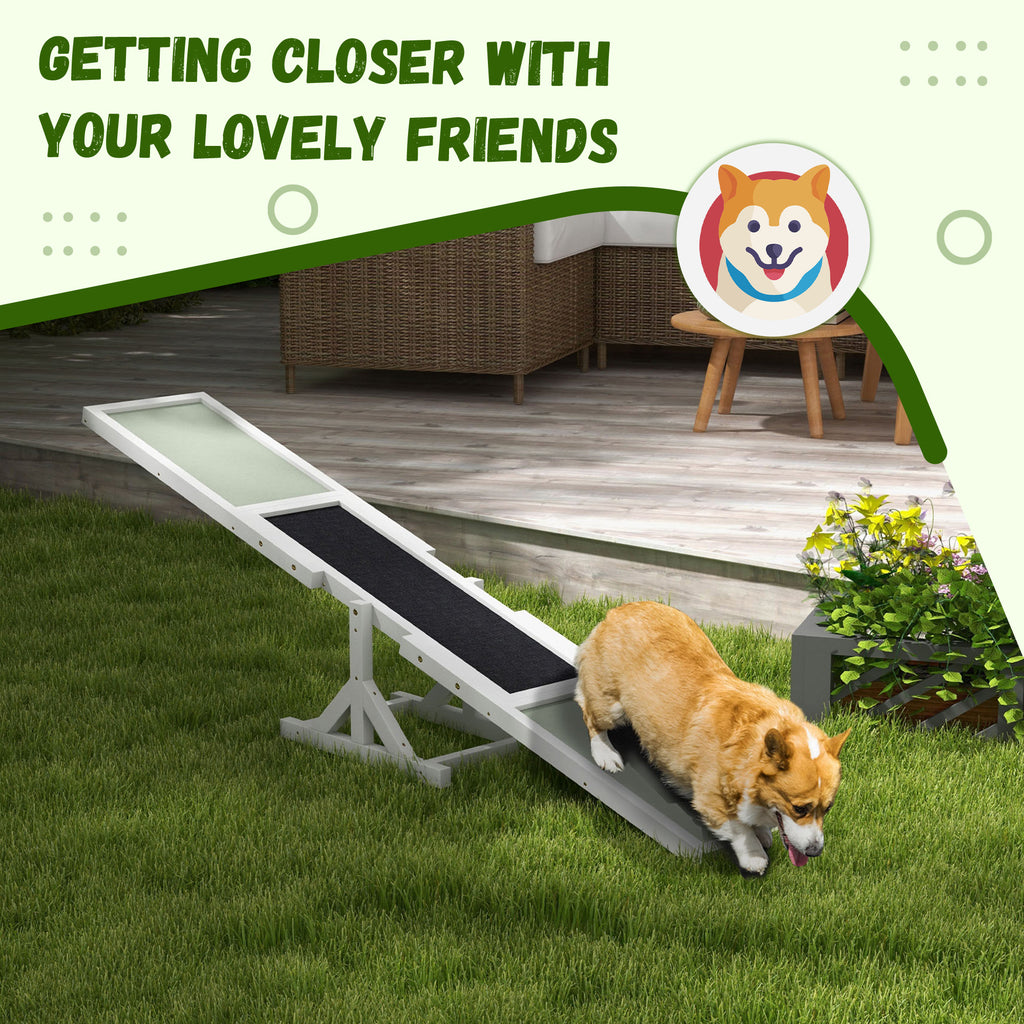 Dog training on white wooden agility seesaw outdoors