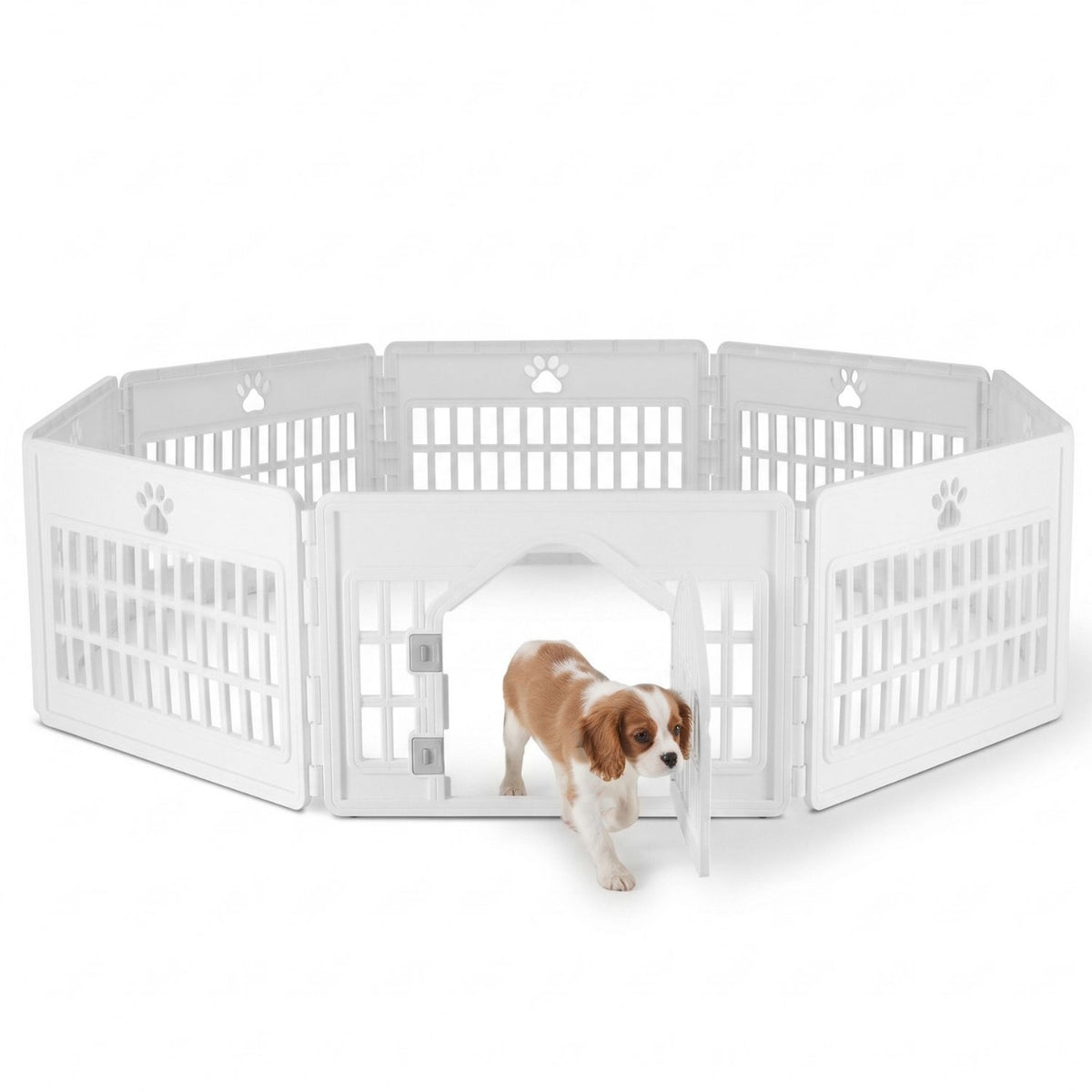 White 6-panel modular plastic dog playpen with paw print cutouts and arched locking door; Cavalier King Charles Spaniel puppy walking out of the portable pet fence