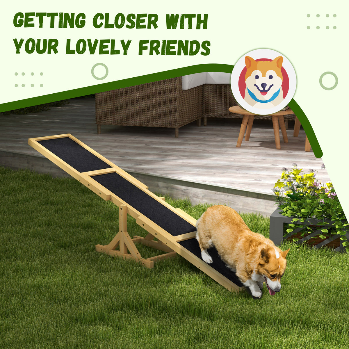 Dog on a yellow wooden agility seesaw infographic