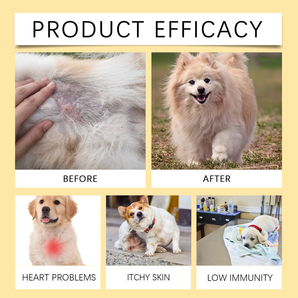 Fish oil chewable tablets for dogs, product packaging display