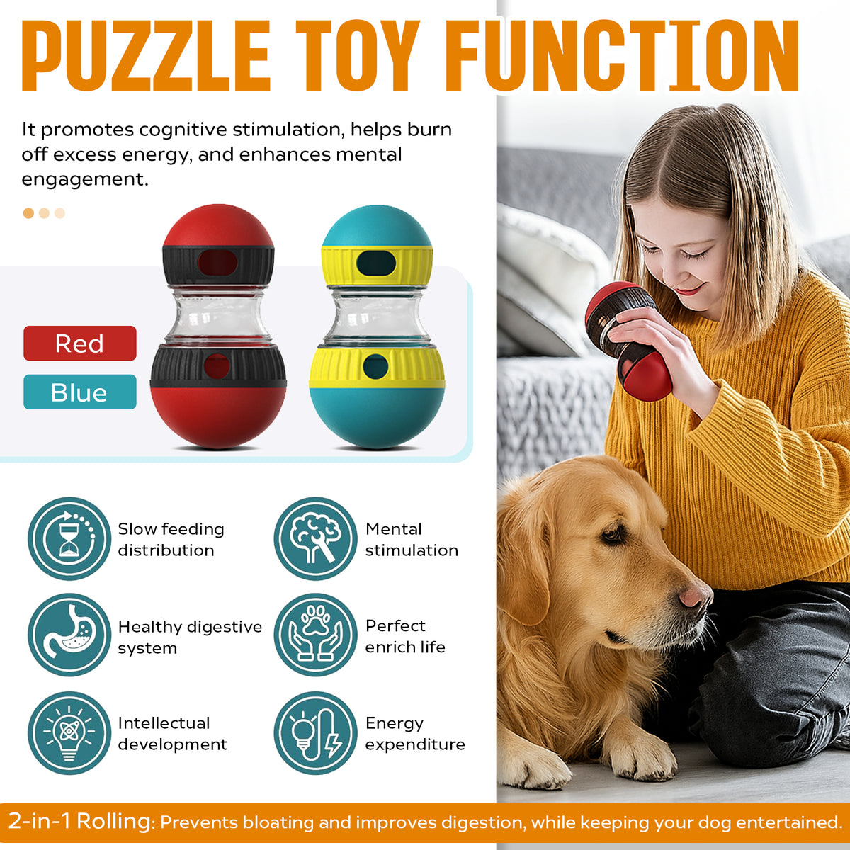 Puzzle toy function infographic with woman and dog