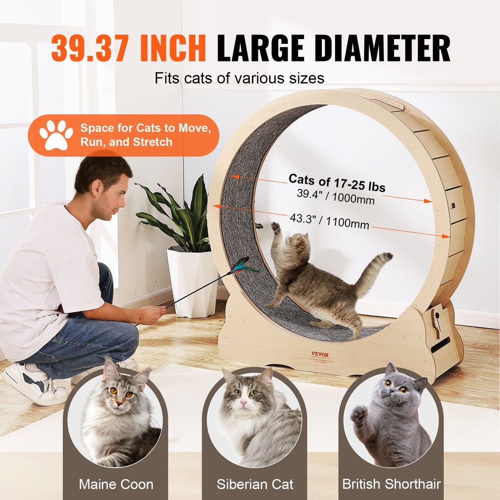 Size guide graphic showing the 43.3-inch outer and 39.37-inch inner diameter natural wood wheel fitting cats of 17 to 25 pounds, including Maine Coon, Siberian, and British Shorthair breeds.