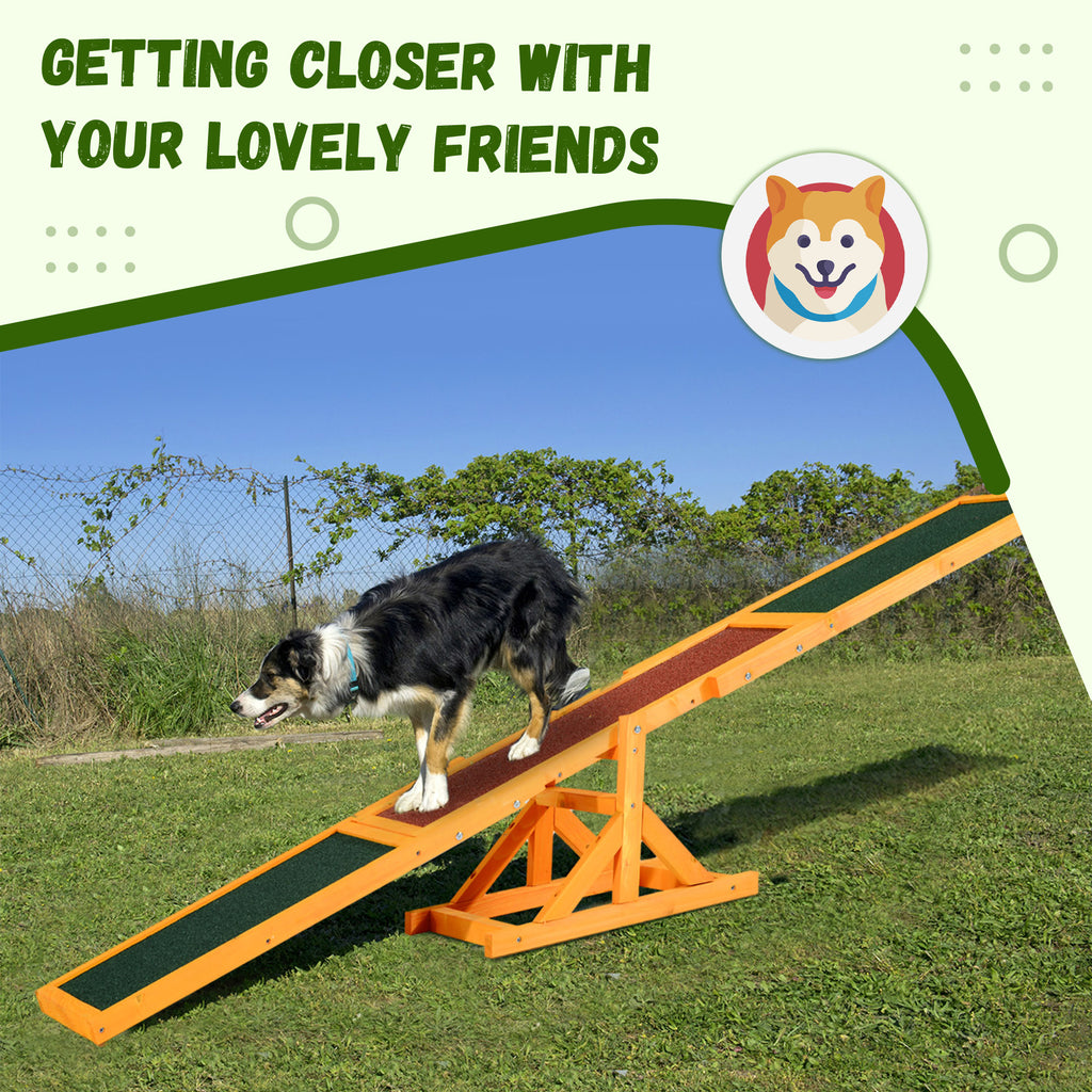 Dog on a wooden agility seesaw infographic