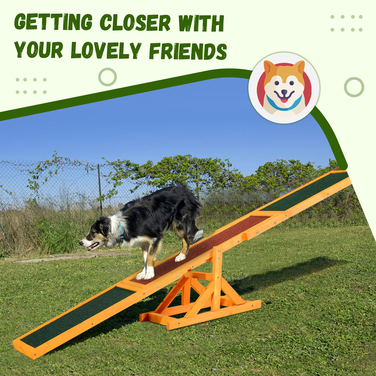 Dog on a wooden agility seesaw infographic