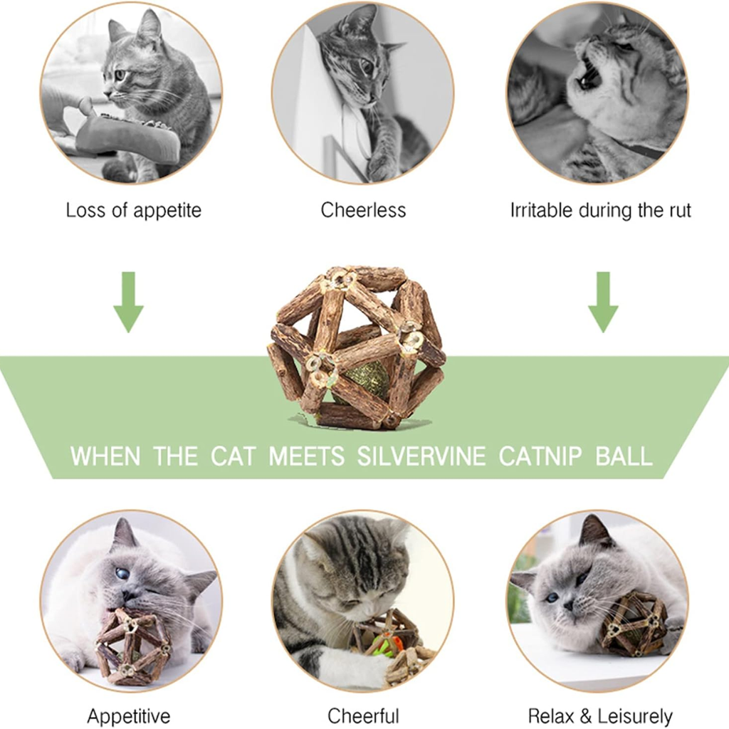 Silvervine ball toy size comparison infographic