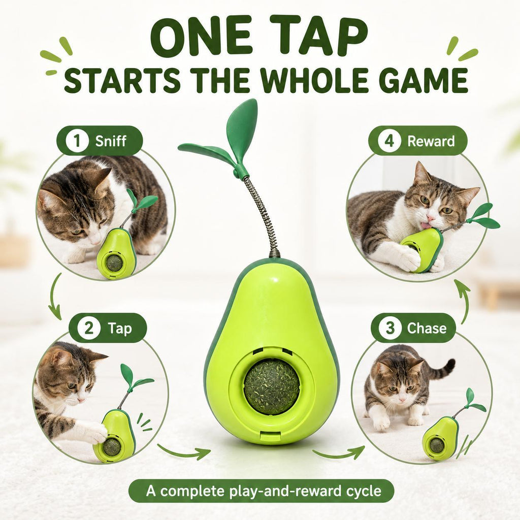 Play cycle graphic showing a 4-step sniff, tap, chase, and reward routine with the avocado toy and catnip ball, captioned one tap starts the whole game.