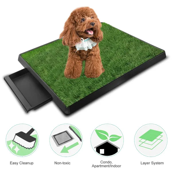 Brown poodle sitting on artificial grass dog potty training pad with easy cleanup and non-toxic features