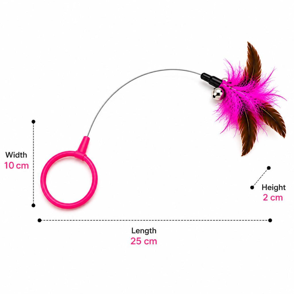 Dimension diagram of the pink wearable feather collar teaser showing 25 cm length, 10 cm width, and 2 cm height.