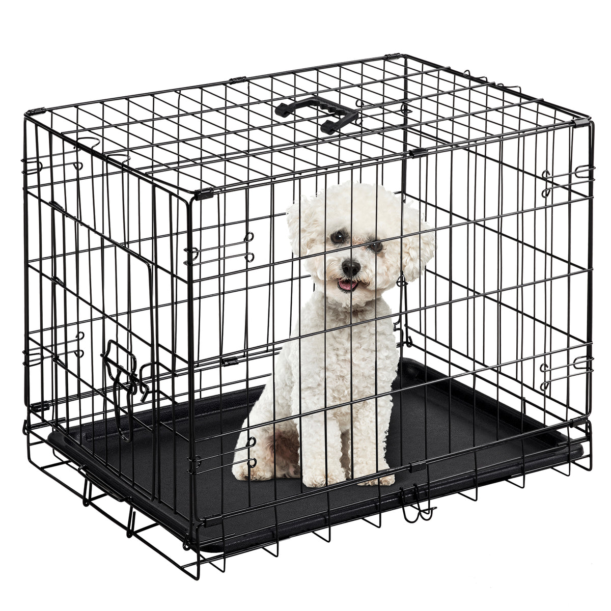 Small white dog sitting inside the black wire dog cage with plastic tray