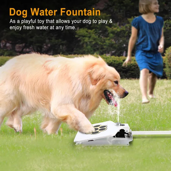 Golden retriever playing with water from a white step-on dog water fountain pedal in a grassy yard
