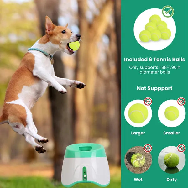 Green automatic dog ball launcher shown with six tennis balls for fetch play