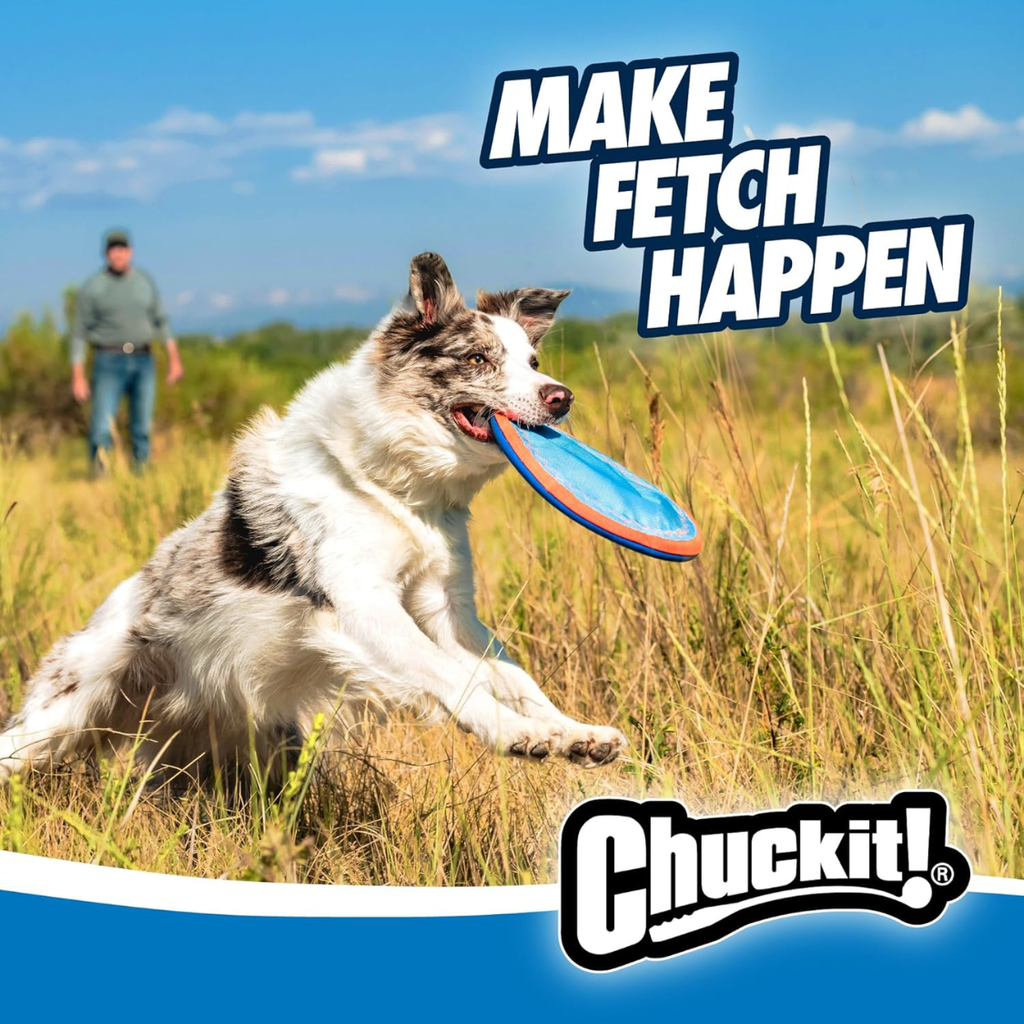 Dog catching a blue flying disc, make fetch happen infographic