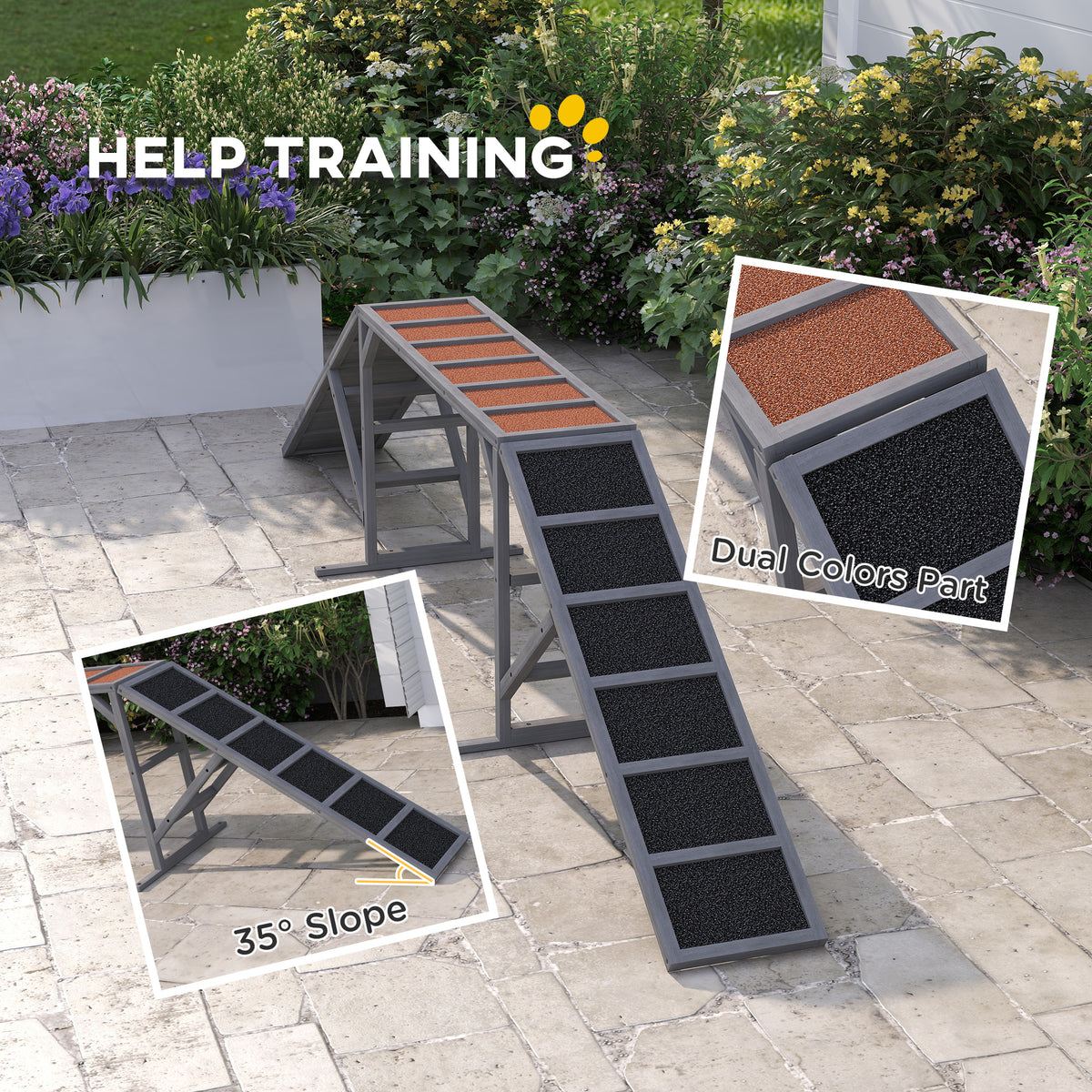 Dog training on a gray agility ramp, sharp training infographic