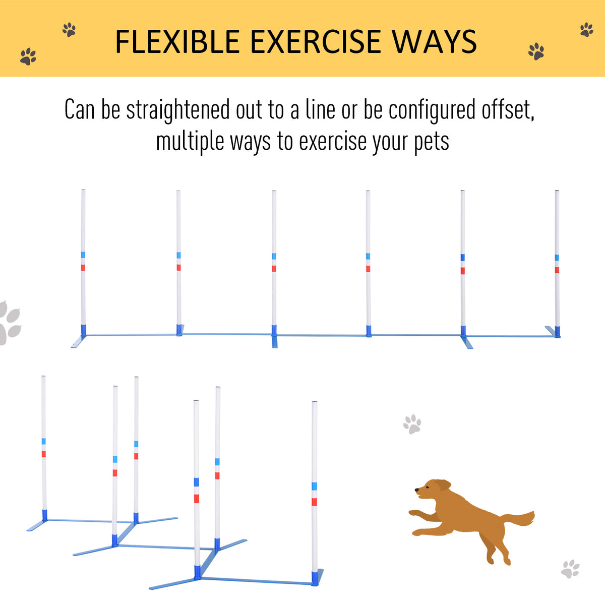 Flexible exercise modes dog weave pole infographic