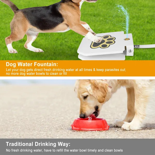 Comparison infographic of step-on dog water fountain versus traditional water bowl, with beagle using the pedal fountain and golden retriever drinking from a bowl