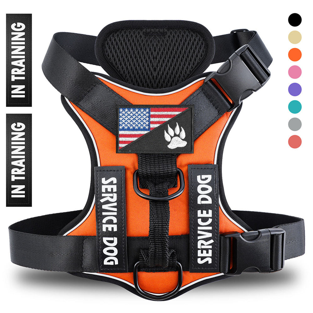 Orange reflective no-pull service dog harness vest, front view with SERVICE DOG and IN TRAINING patches, adjustable straps and quick-release buckle
