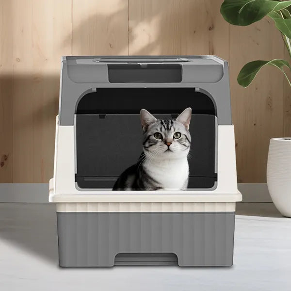 GreyMagic intelligent litter box showing spacious interior for cats