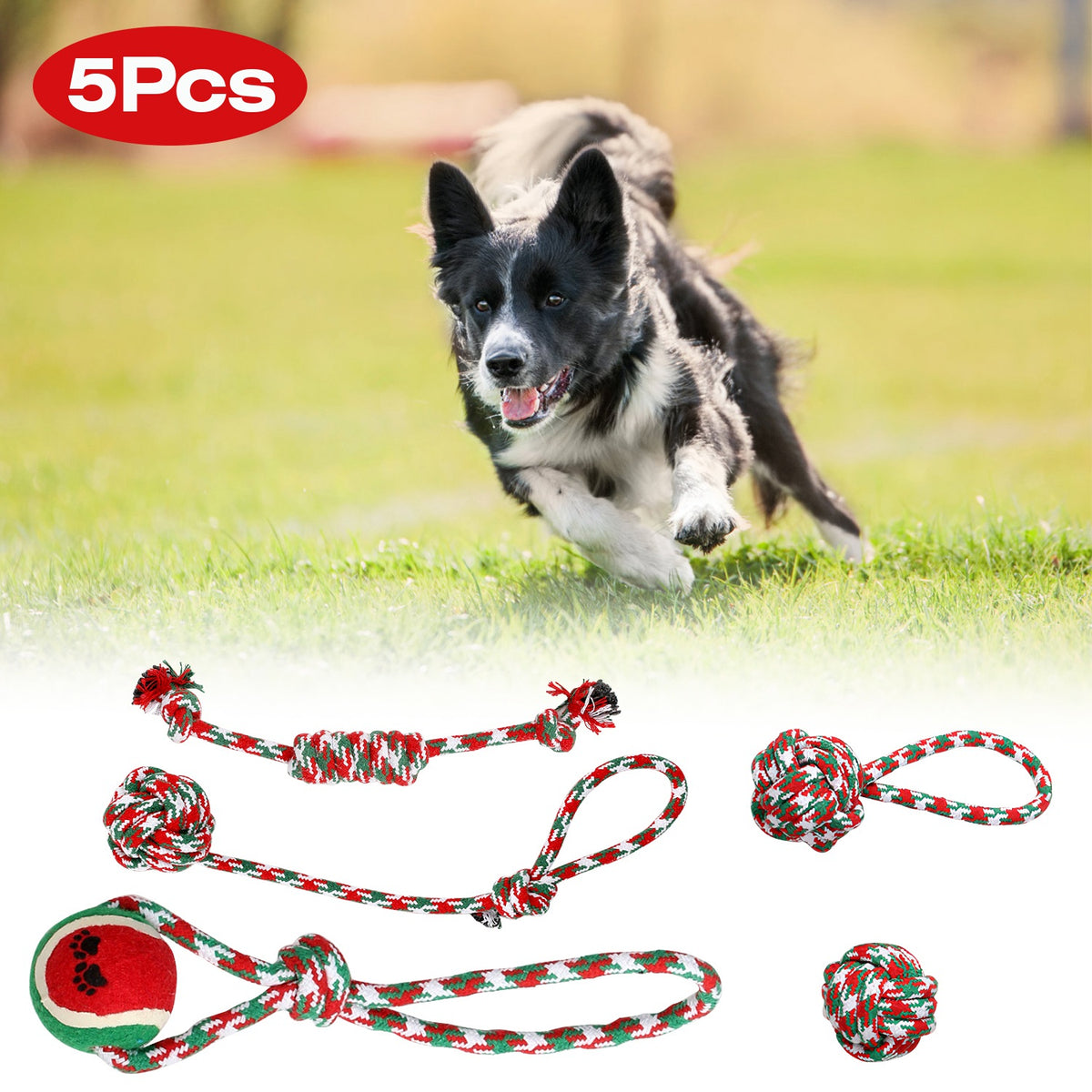 Border Collie running on grass above five red, green, and white Christmas rope toys including knotted ropes, a tennis ball, and rope balls, captioned 5Pcs.