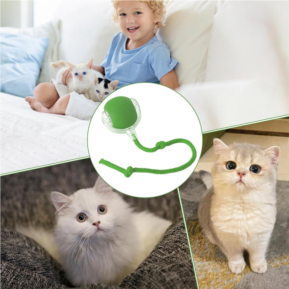Child and cat with a green electric rolling ball toy