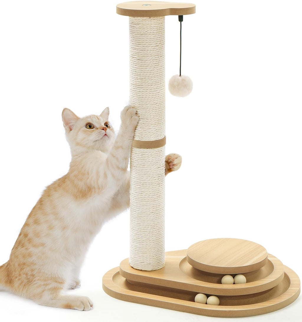 Light-colored kitten stretching up a tall wooden sisal scratching post with a round base and ball track, on a white background.