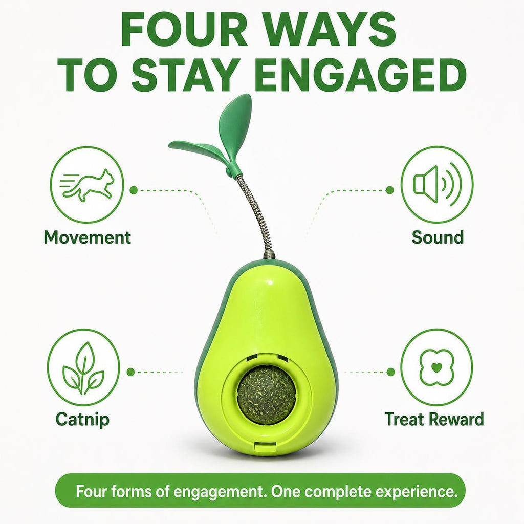 Engagement graphic showing the avocado toy's four play modes: movement, sound, catnip, and treat reward, captioned four ways to stay engaged.