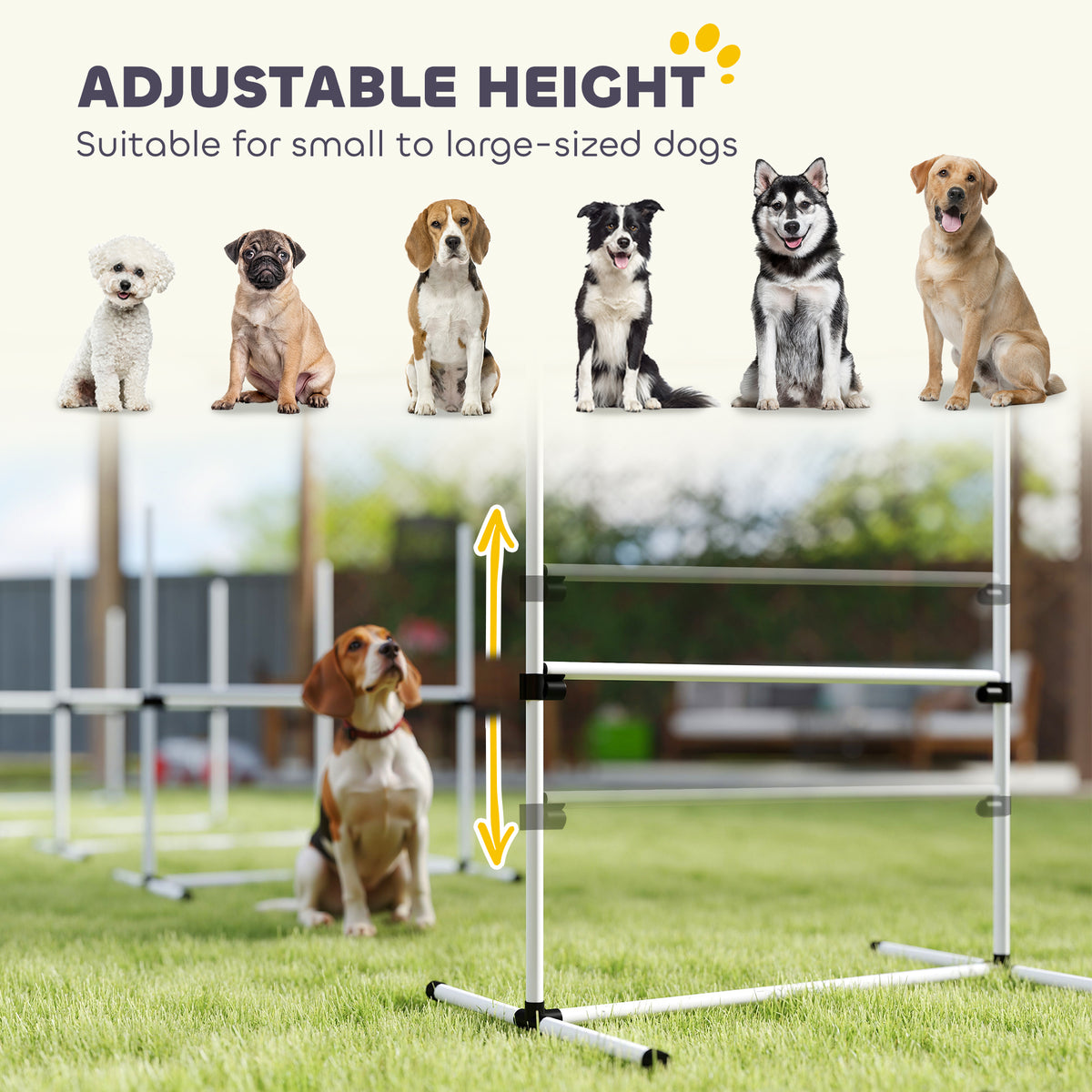 Adjustable height dog agility jumps infographic