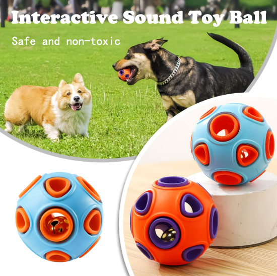 Dogs playing outdoors with jingle bell rubber balls