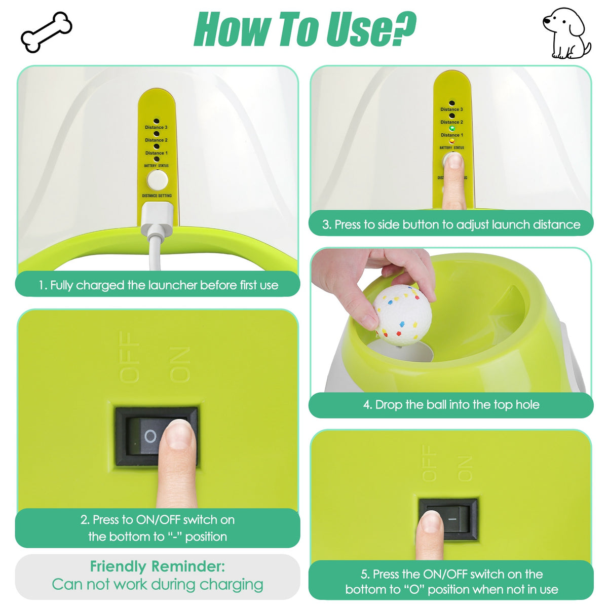 Dog with automatic ball launcher, how to use infographic