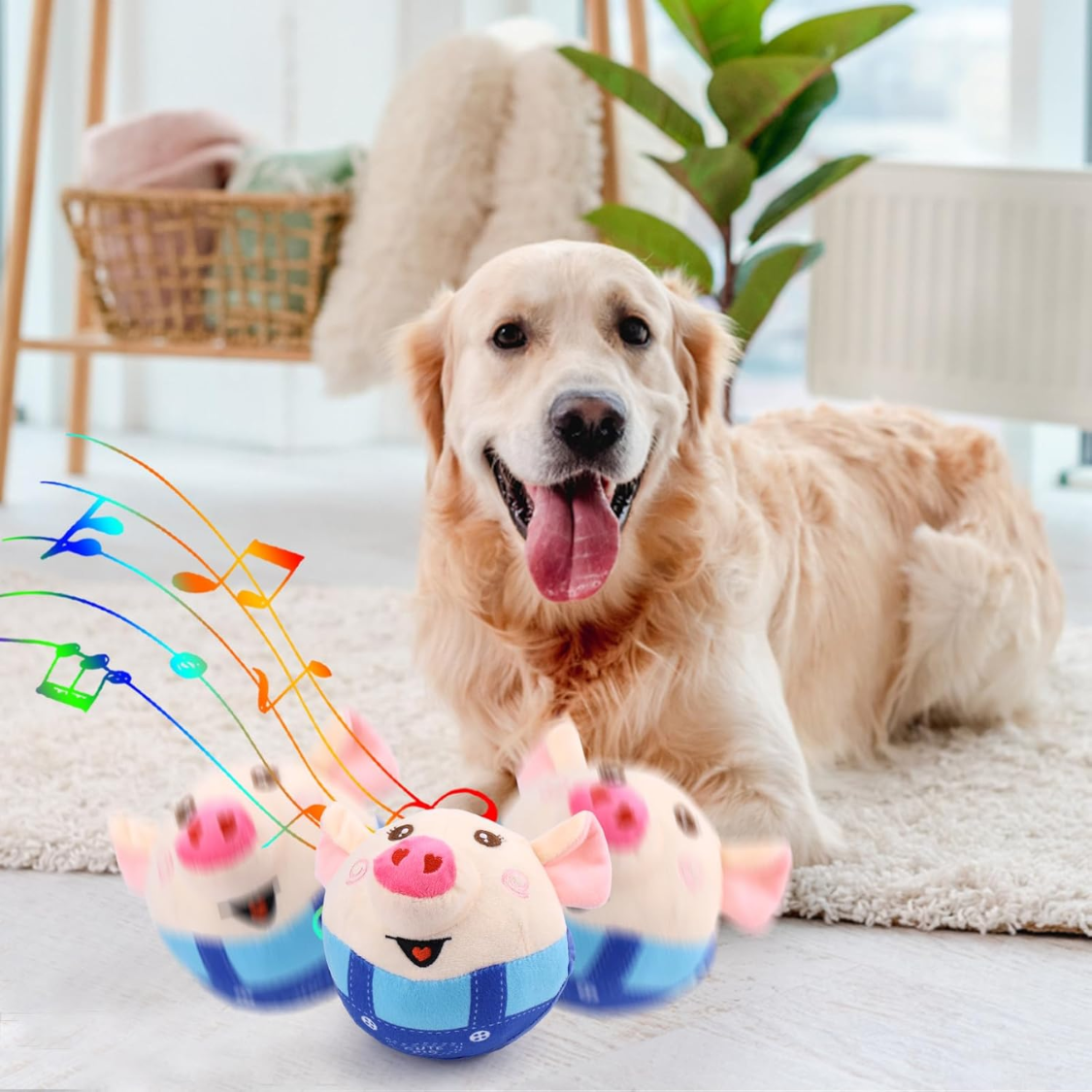 Golden retriever with three bouncing pink pig toys playing music on a rug