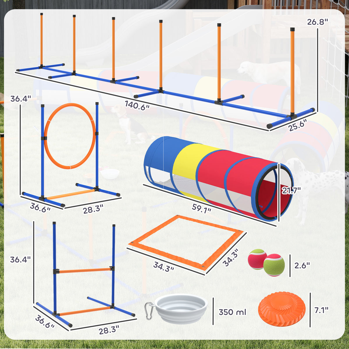 Dog agility equipment layout diagram, 12-piece set